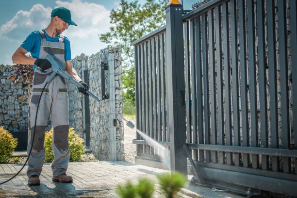 Best Graffiti Removal  in Forreston, IL