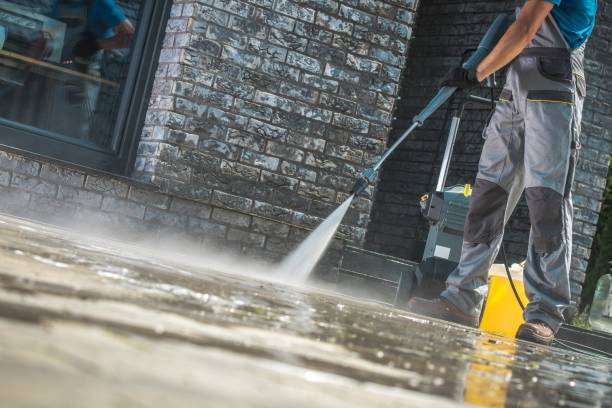 Best Driveway Pressure Washing  in Forreston, IL