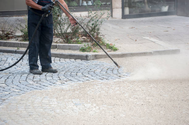 Best Patio and Deck Pressure Washing  in Forreston, IL