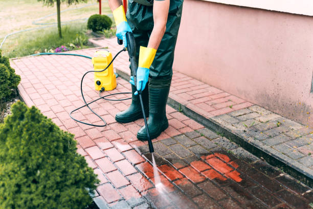 Best Soft Washing  in Forreston, IL