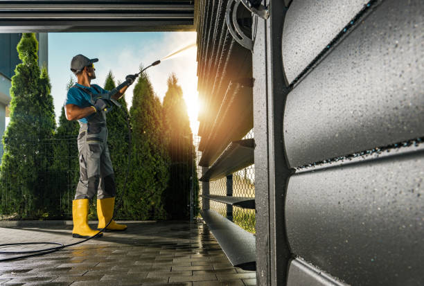 Best Roof Washing  in Forreston, IL