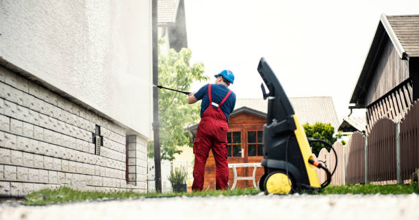 Best Paint Preparation  in Forreston, IL